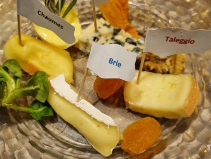 Käseauswahl reichlich garniert   Brie, Chaumes, Taleggio, Roquefort  Cheese selection richly garnished Brie, Chaumes, Taleggio, Roquefort